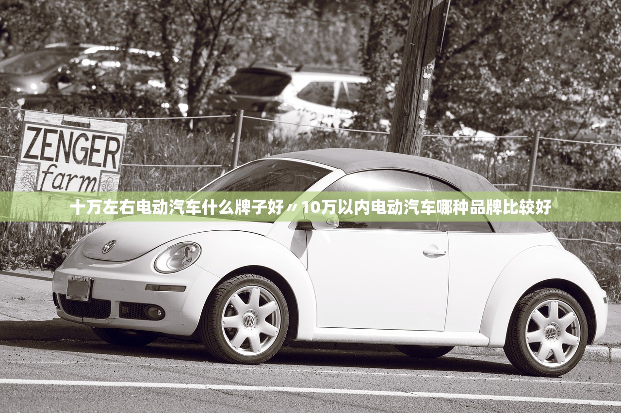 十万左右电动汽车什么牌子好〃10万以内电动汽车哪种品牌比较好 十万左右电动汽车什么牌子好〃10万以内电动汽车哪种品牌比较好
