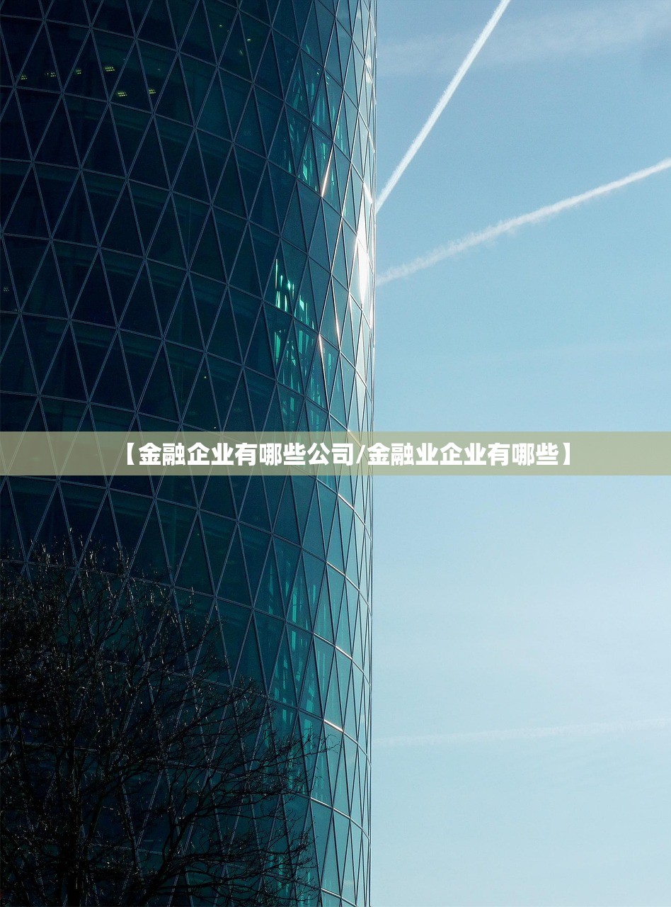 【金融企业有哪些公司/金融业企业有哪些】