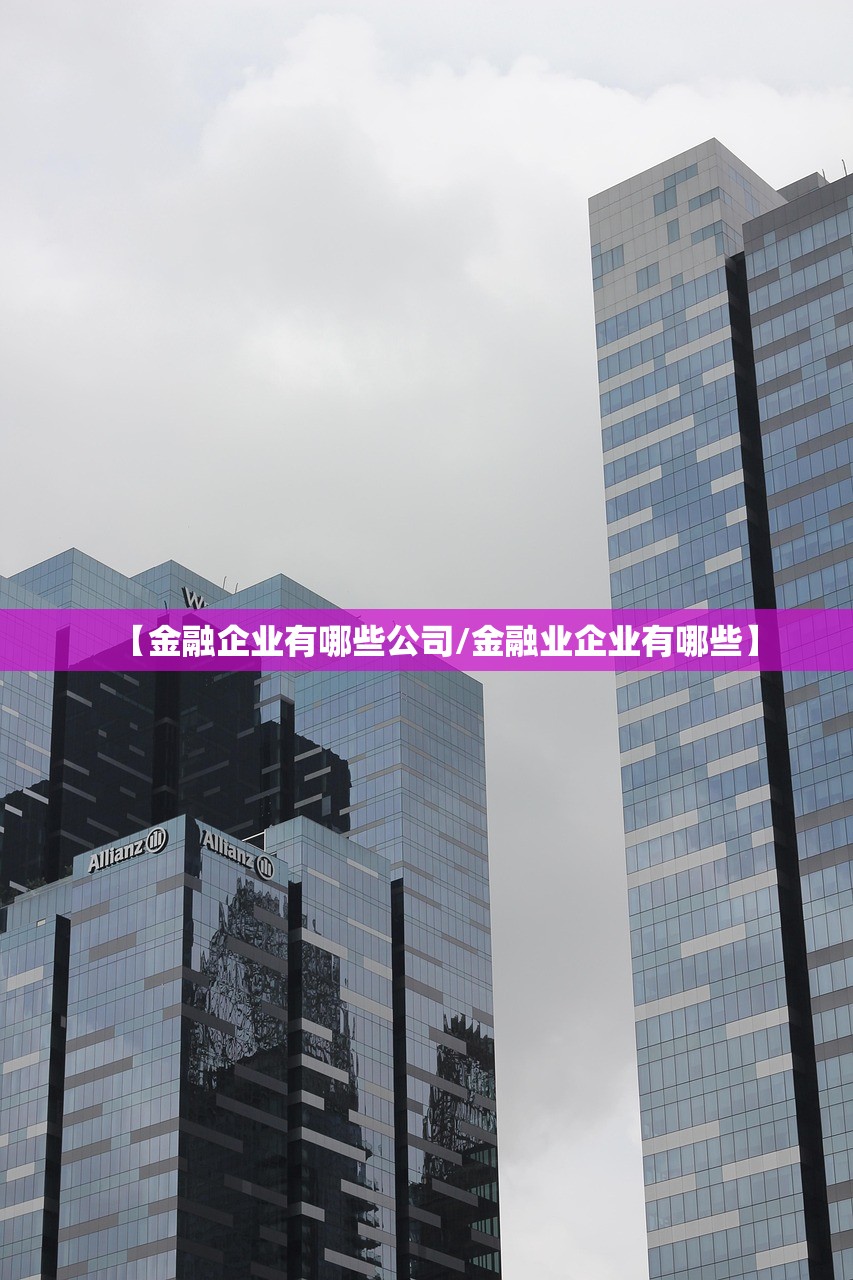 【金融企业有哪些公司/金融业企业有哪些】