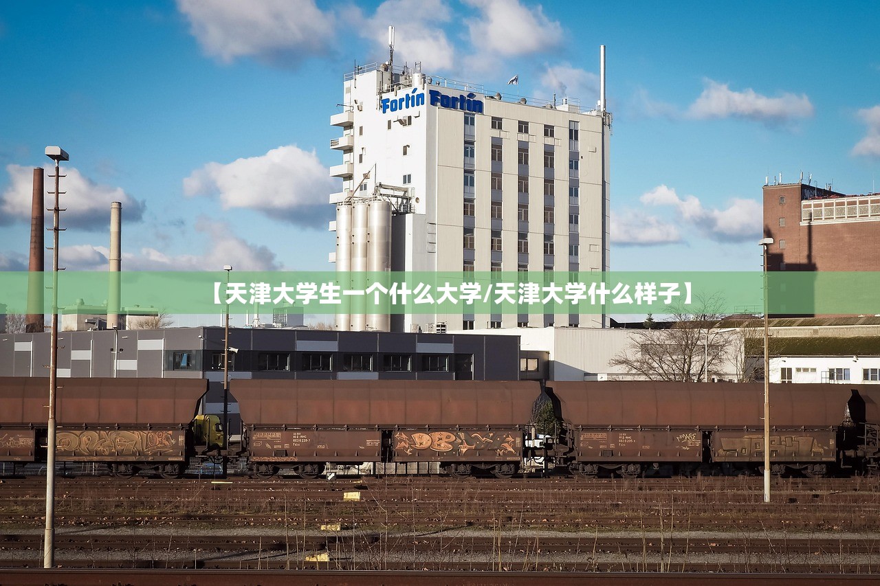 【天津大学生一个什么大学/天津大学什么样子】 【天津大学生一个什么大学/天津大学什么样子】