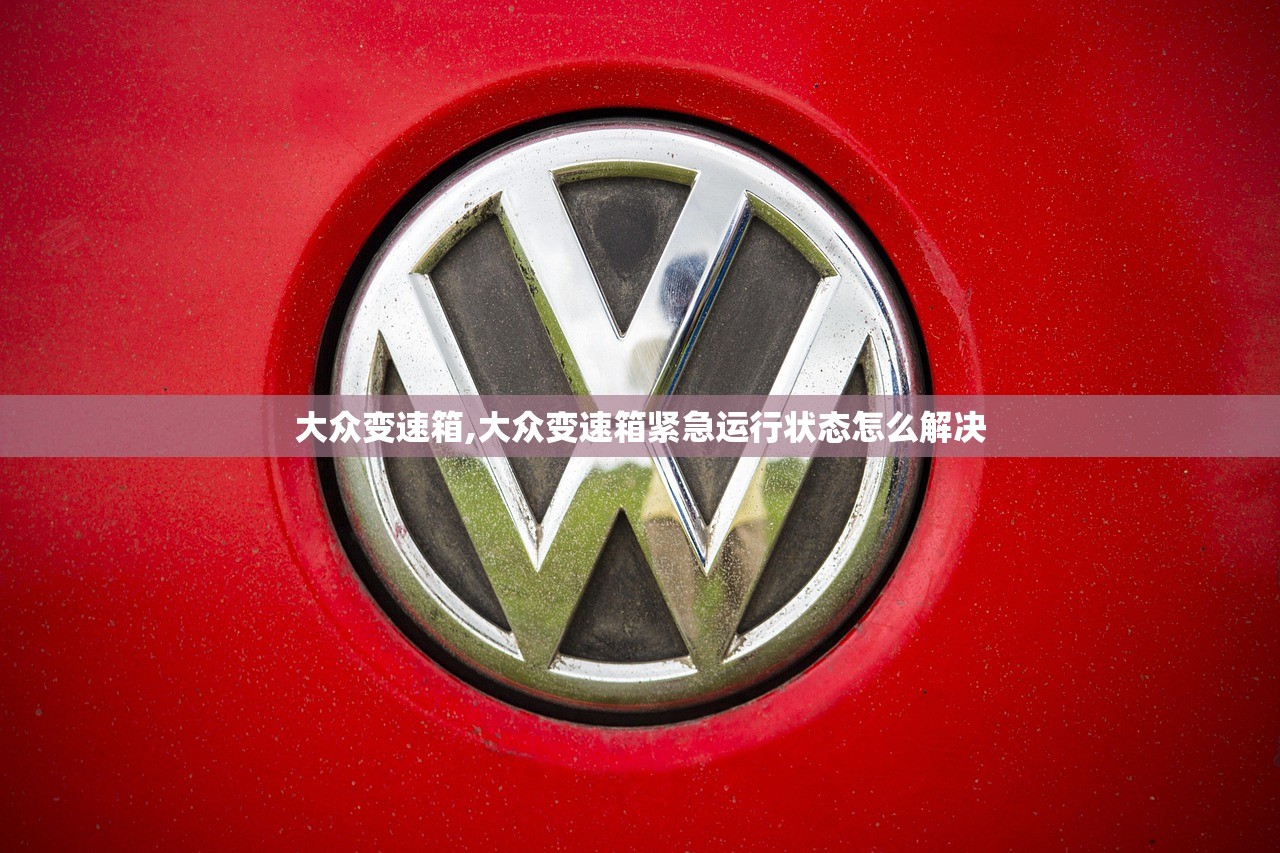 大众变速箱,大众变速箱紧急运行状态怎么解决 大众变速箱,大众变速箱紧急运行状态怎么解决