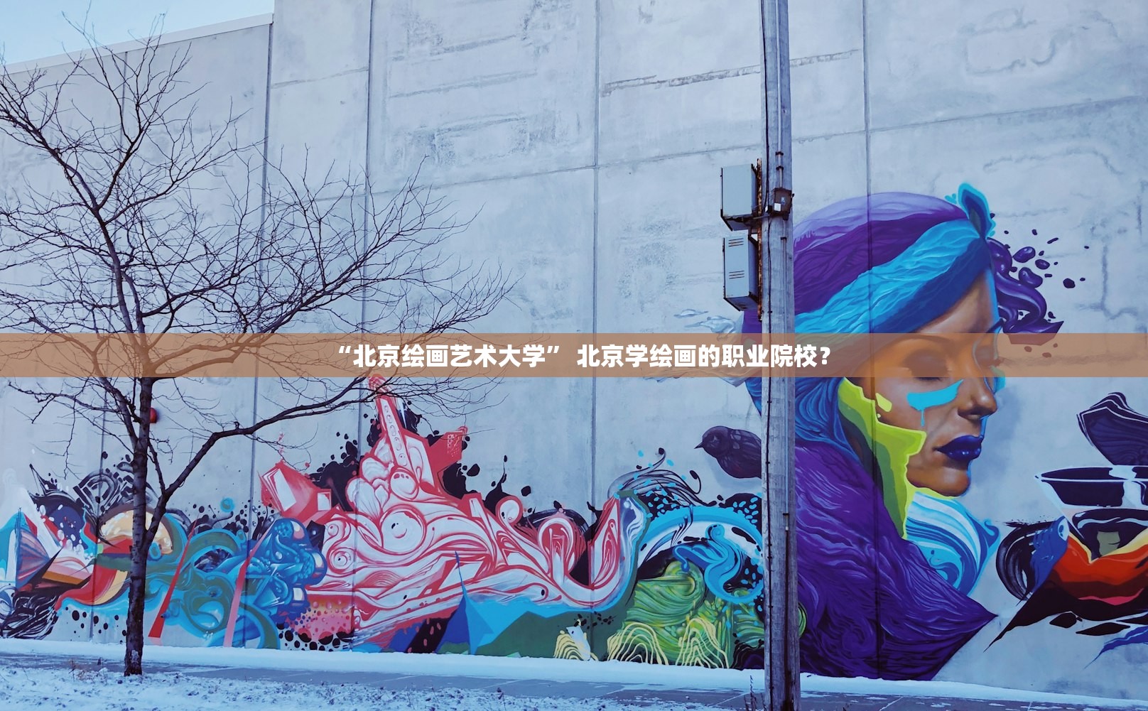 “北京绘画艺术大学” 北京学绘画的职业院校？