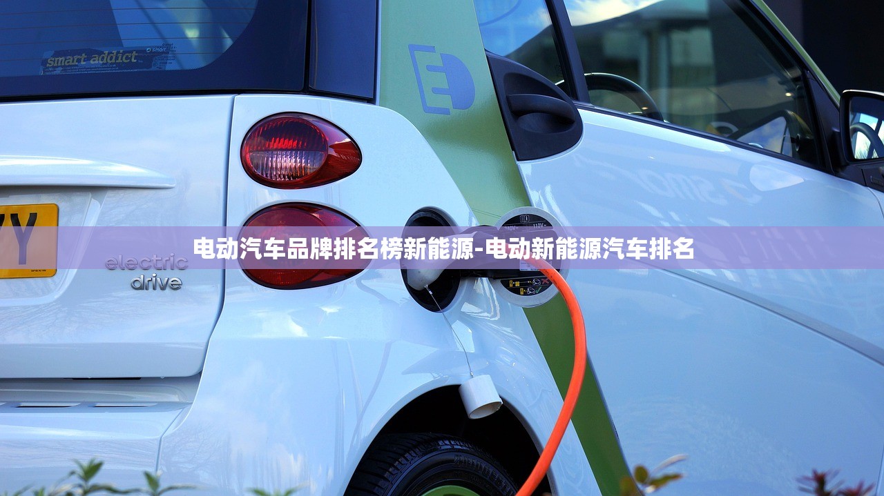 电动汽车品牌排名榜新能源-电动新能源汽车排名 电动汽车品牌排名榜新能源-电动新能源汽车排名