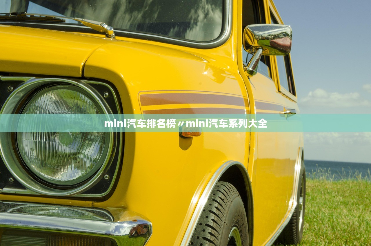 mini汽车排名榜〃mini汽车系列大全