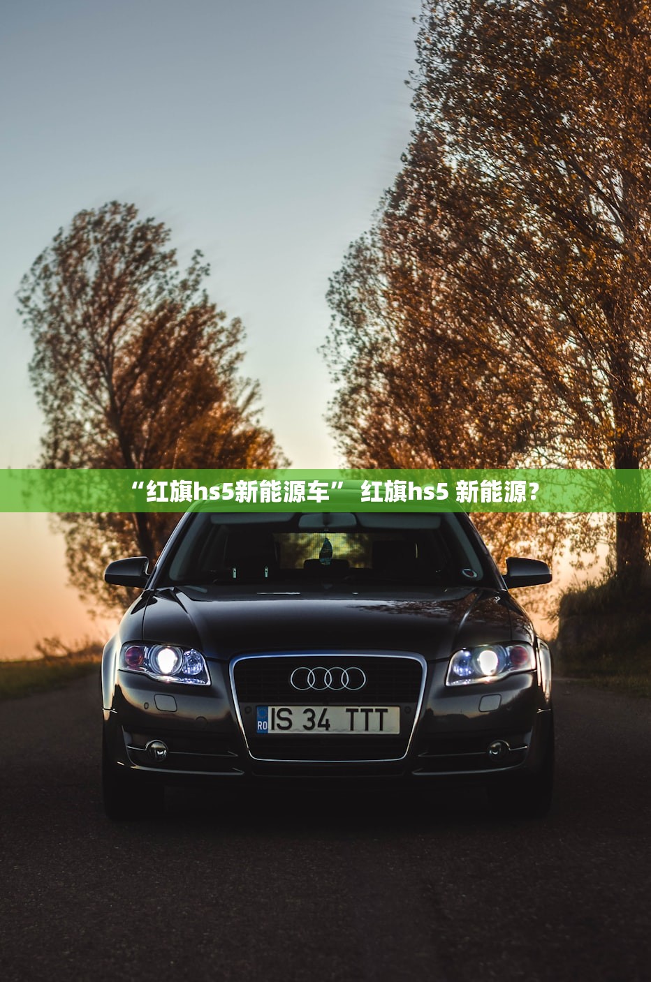 “红旗hs5新能源车” 红旗hs5 新能源？