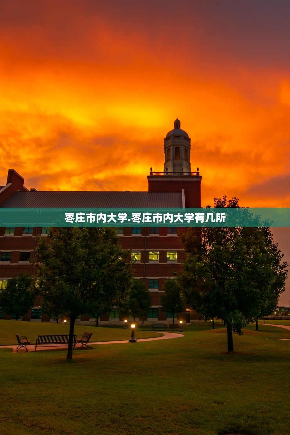 枣庄市内大学.枣庄市内大学有几所
