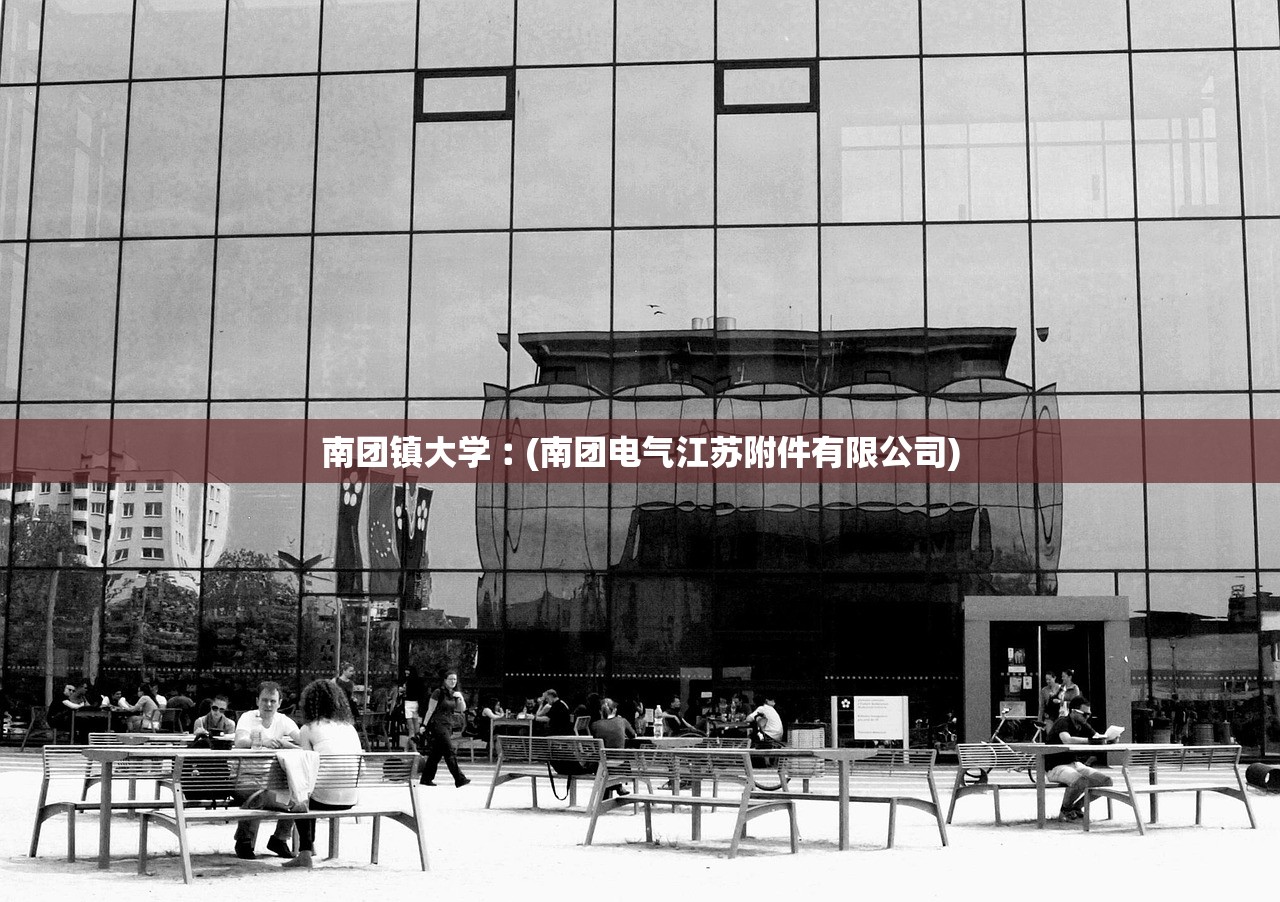 南团镇大学︰(南团电气江苏附件有限公司)