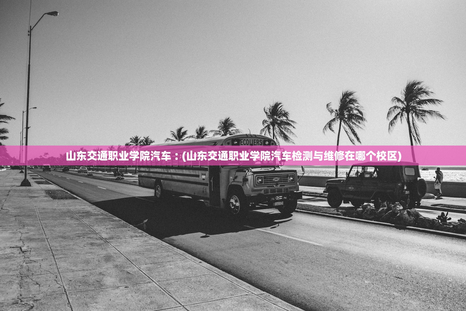 山东交通职业学院汽车︰(山东交通职业学院汽车检测与维修在哪个校区)
