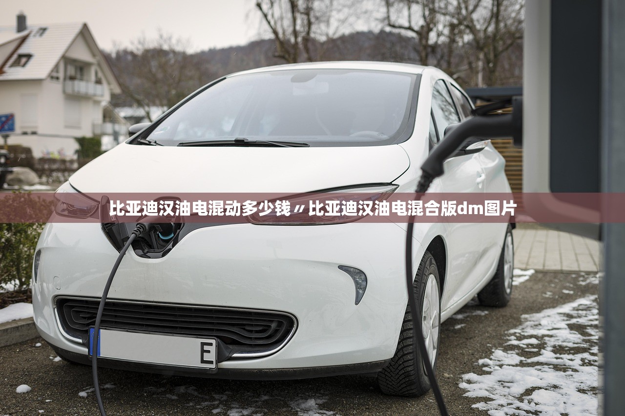 比亚迪汉油电混动多少钱〃比亚迪汉油电混合版dm图片
