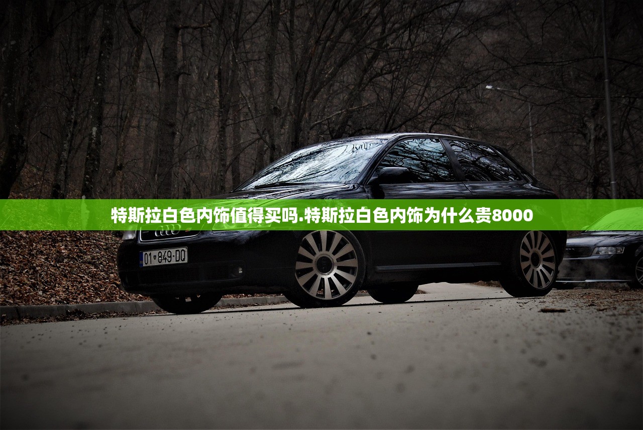 特斯拉白色内饰值得买吗.特斯拉白色内饰为什么贵8000