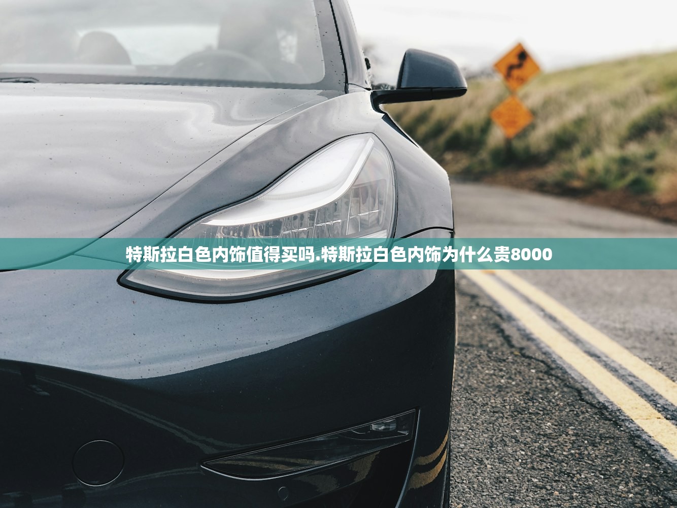特斯拉白色内饰值得买吗.特斯拉白色内饰为什么贵8000