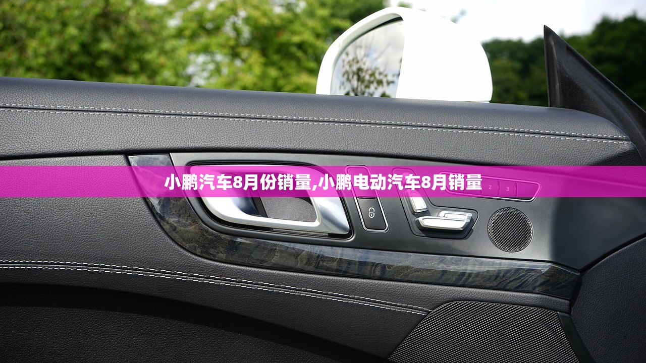 小鹏汽车8月份销量,小鹏电动汽车8月销量 小鹏汽车8月份销量,小鹏电动汽车8月销量