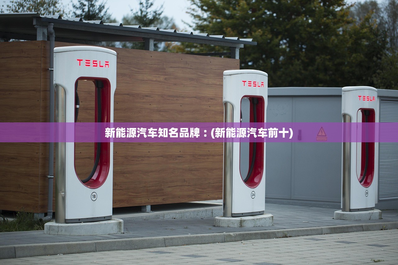 新能源汽车知名品牌︰(新能源汽车前十) 新能源汽车知名品牌︰(新能源汽车前十)