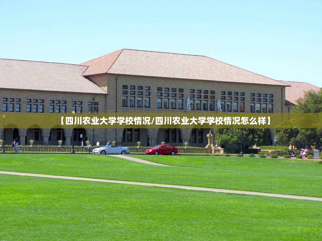 【四川农业大学学校情况/四川农业大学学校情况怎么样】 【四川农业大学学校情况/四川农业大学学校情况怎么样】