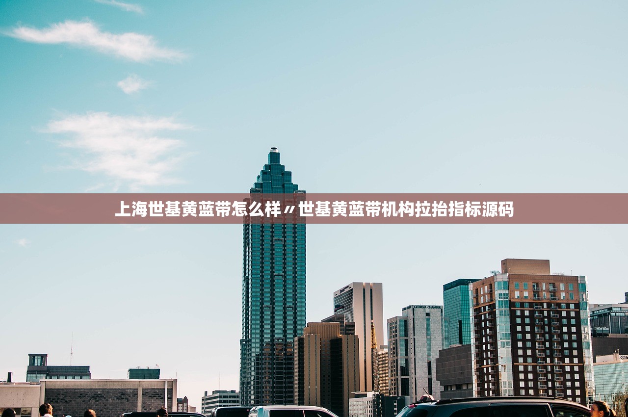 上海世基黄蓝带怎么样〃世基黄蓝带机构拉抬指标源码