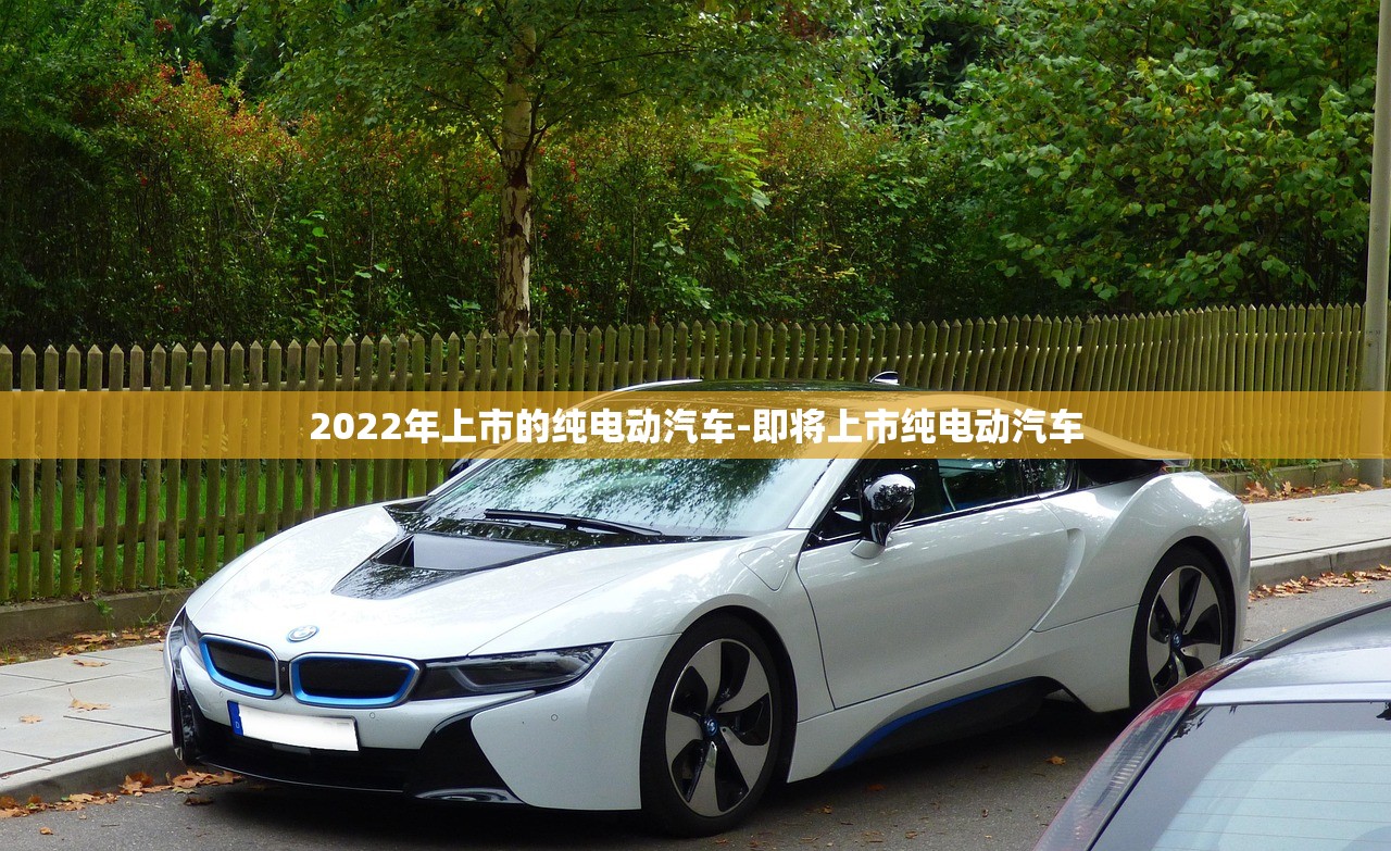 2022年上市的纯电动汽车-即将上市纯电动汽车