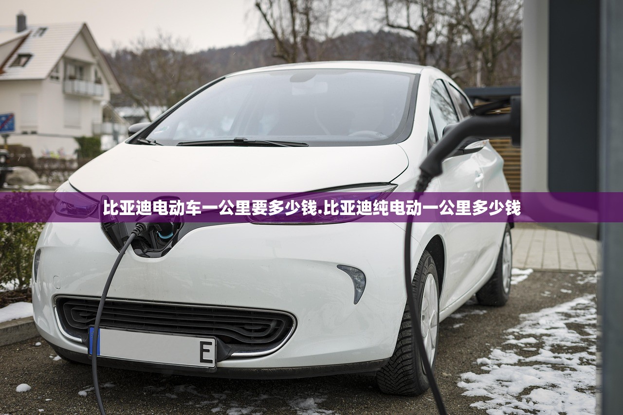 比亚迪电动车一公里要多少钱.比亚迪纯电动一公里多少钱