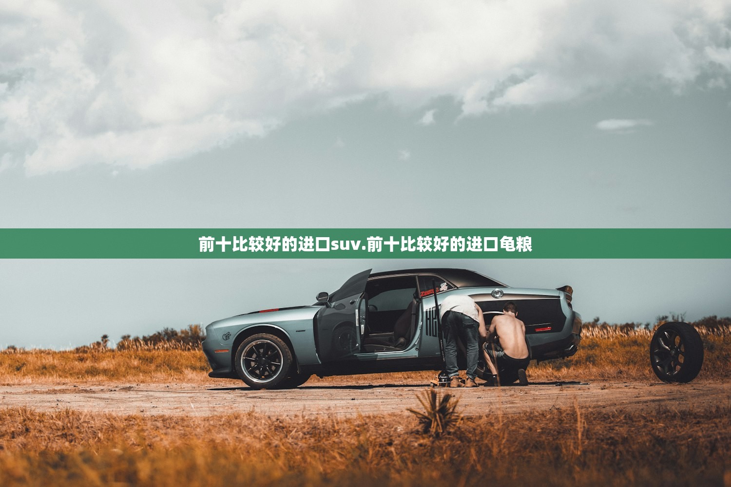 前十比较好的进口suv.前十比较好的进口龟粮