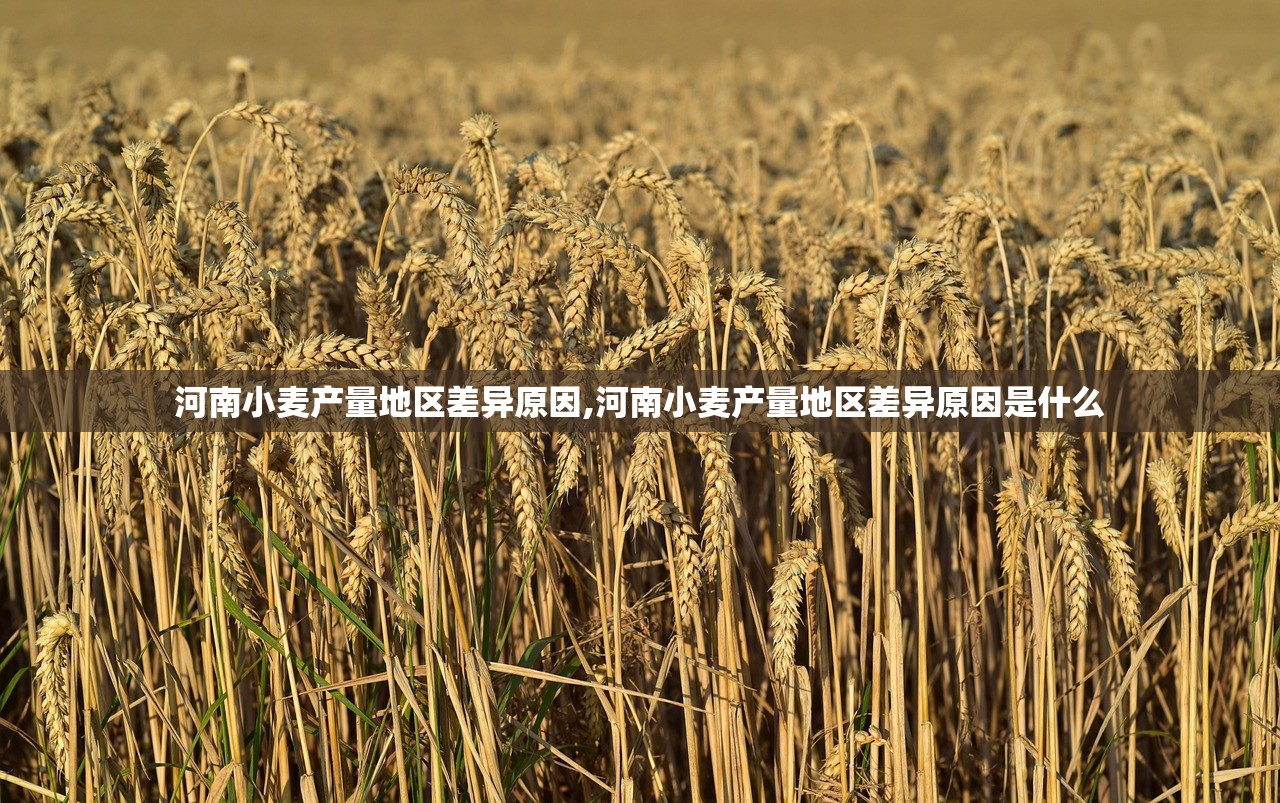 河南小麦产量地区差异原因,河南小麦产量地区差异原因是什么 河南小麦产量地区差异原因,河南小麦产量地区差异原因是什么