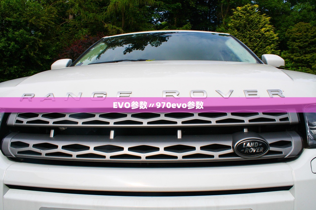 EVO参数〃970evo参数