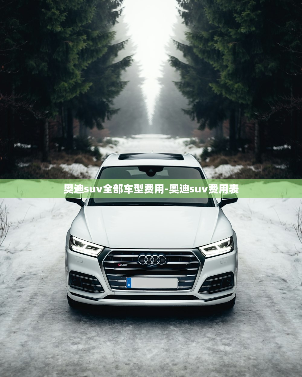 奥迪suv全部车型费用-奥迪suv费用表 奥迪suv全部车型费用-奥迪suv费用表