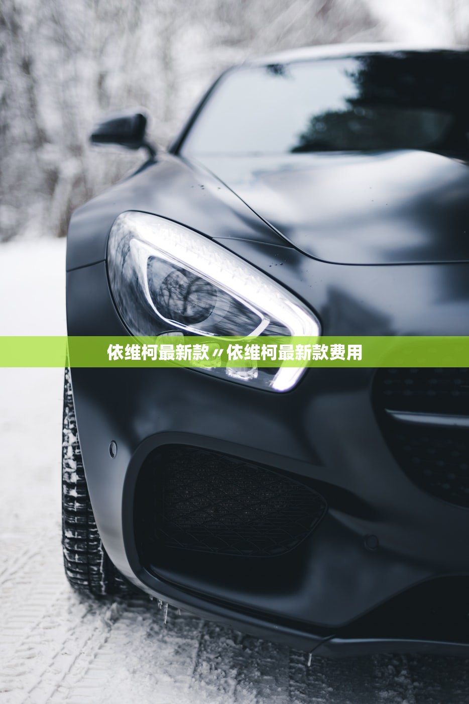 依维柯最新款〃依维柯最新款费用 依维柯最新款〃依维柯最新款费用