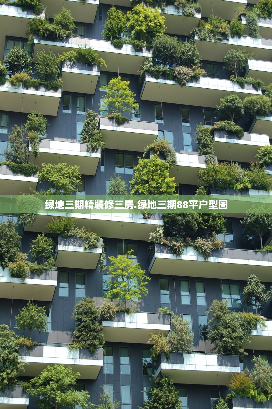 绿地三期精装修三房.绿地三期88平户型图 绿地三期精装修三房.绿地三期88平户型图