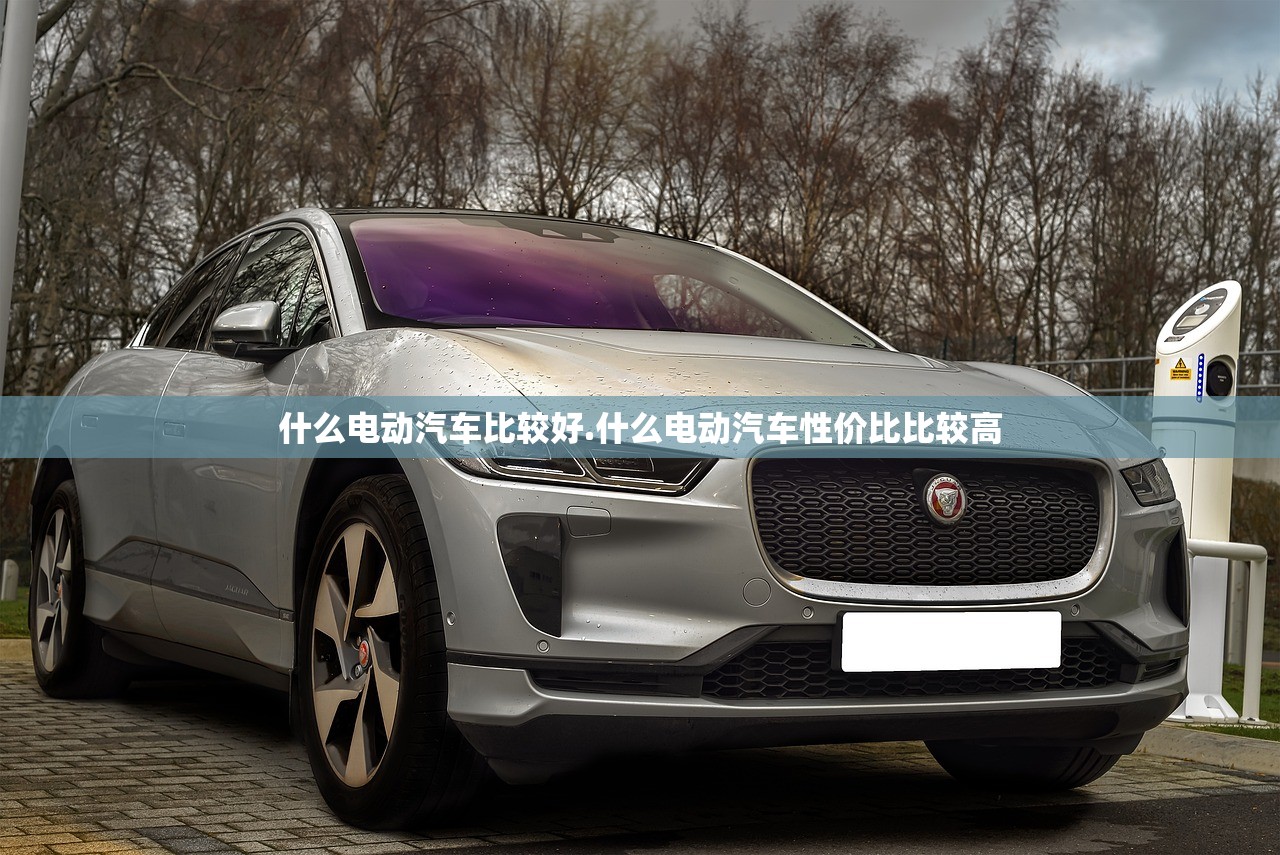 什么电动汽车比较好.什么电动汽车性价比比较高
