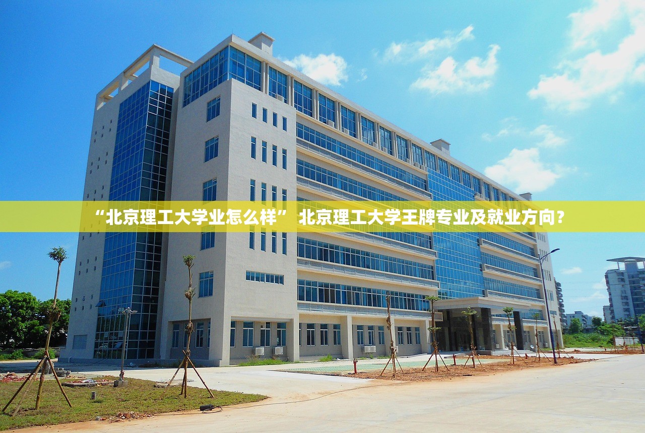 “北京理工大学业怎么样	” 北京理工大学王牌专业及就业方向？