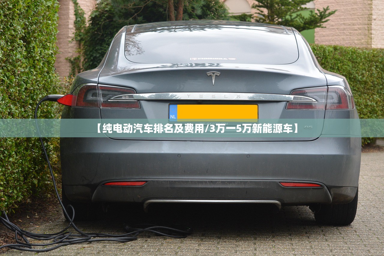 【纯电动汽车排名及费用/3万一5万新能源车】